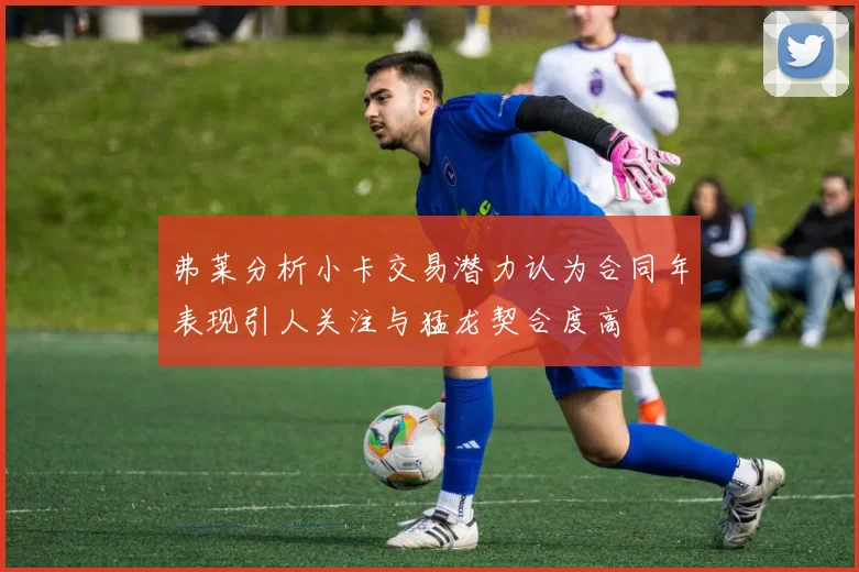 弗莱分析小卡交易潜力认为合同年表现引人关注与猛龙契合度高