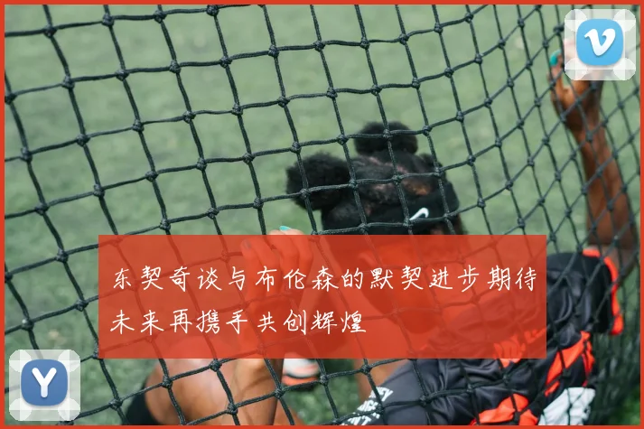 东契奇谈与布伦森的默契进步期待未来再携手共创辉煌