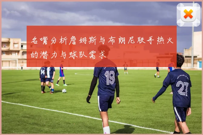 名嘴分析詹姆斯与布朗尼联手热火的潜力与球队需求