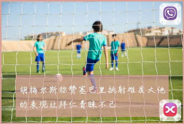 胡梅尔斯称赞塞巴里挑射难度大他的表现让拜仁青睐不已