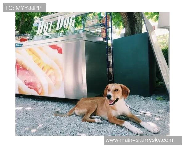 法比奥社媒分享甜蜜瞬间你最喜欢的照片是哪一张呢